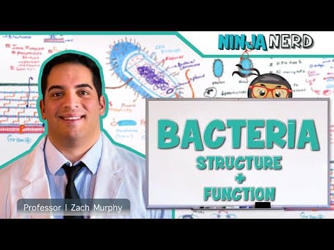 How Do Bacterial Structures Support Function? thumbnail