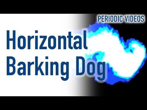 What Happens During the Barking Dog Experiment? thumbnail