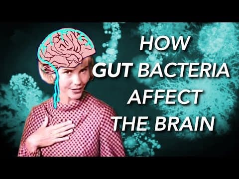 How the Gut Microbiome affects the Brain and Mind thumbnail