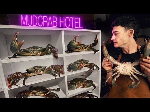 I Farmed Crabs In My Garage. Was It Worth It? thumbnail