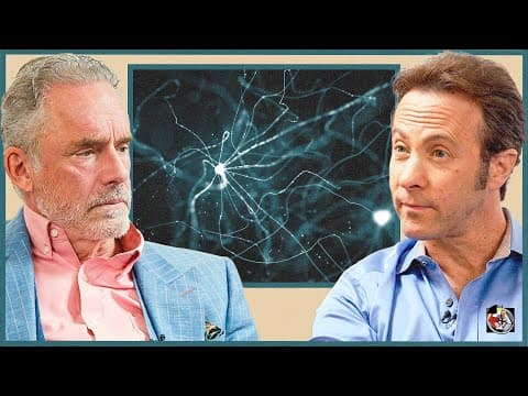 How Your Brain Decides Between Conflicting Actions | Dr. David Eagleman thumbnail