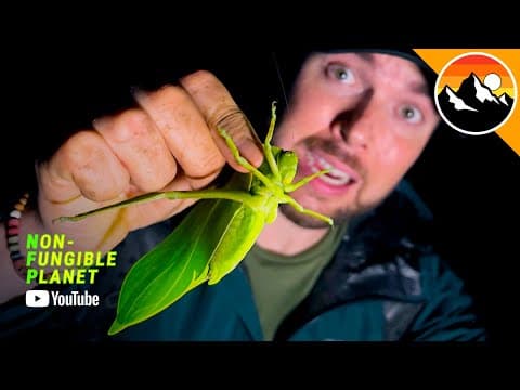 What Unique Wildlife Did They Discover in Ecuador? thumbnail