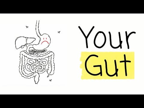 Gut Health Explained in 5 minutes (No BS) thumbnail