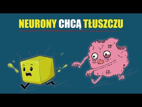 NEURONY spalają TŁUSZCZ?! Odkrycie, które zmienia wszystko, co wiemy o mózgu thumbnail