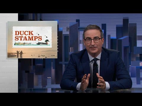 How Do Duck Stamps Fund Wetland Conservation? thumbnail