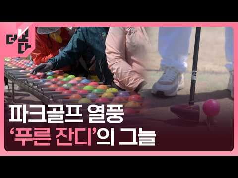 파크골프 열풍의 이면은 무엇인가? 비용, 공간, 규제의 영향 thumbnail