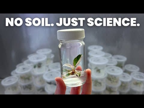 I Cloned This Plant 500 Times thumbnail