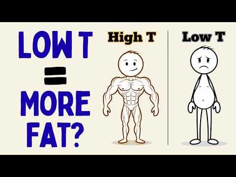 The Real Reason Low Testosterone Increases Belly Fat (Science Explained) thumbnail