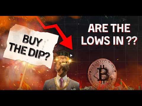 Are the Lows in? thumbnail
