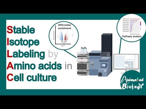 SILAC | Stable isotope labeling by amino acids in cell culture | applications of SILAC | Limitations thumbnail