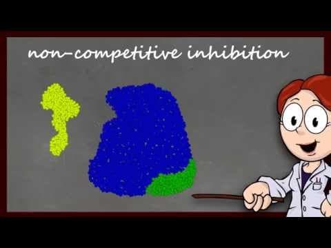 Enzyme Function and Inhibition thumbnail