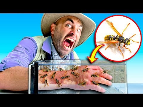 Can Yellowjackets Sting You Through a Bee Suit? thumbnail