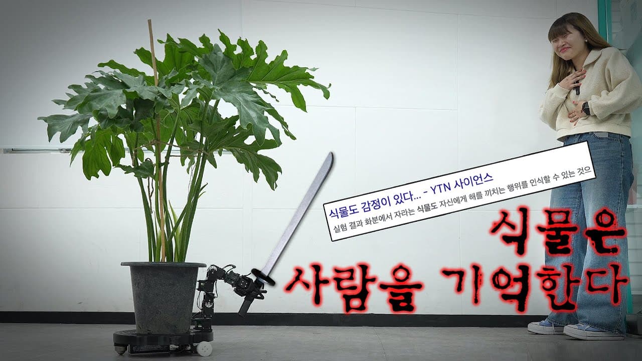 YouTube video player