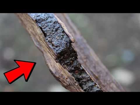 15 Natural Substances More Valuable than GOLD thumbnail
