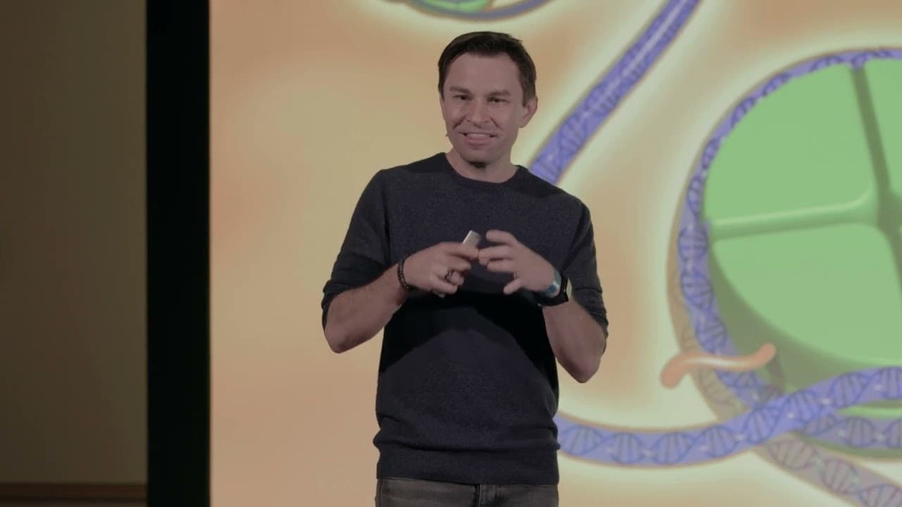YouTube video player