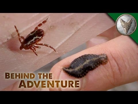 How to Avoid Ticks, Chiggers, and Leeches Outdoors thumbnail