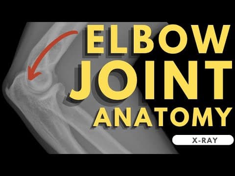 Elbow joint anatomy | Radiology anatomy part 1 prep | Elbow bones, alignment and fat pads on X-ray thumbnail