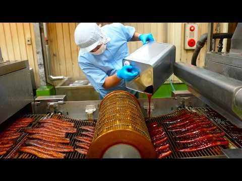 国産うなぎ養殖から加工まで一貫生産プロセス。日本の無投薬・オーガニック鰻養殖場。 thumbnail