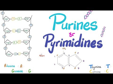 Purines, Pyrimidines, Nucleotides, Nucleosides, DNA, RNA, Denaturation & Annealing thumbnail