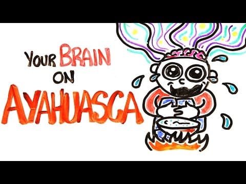 Your Brain On Ayahuasca: The Hallucinogenic Drug thumbnail