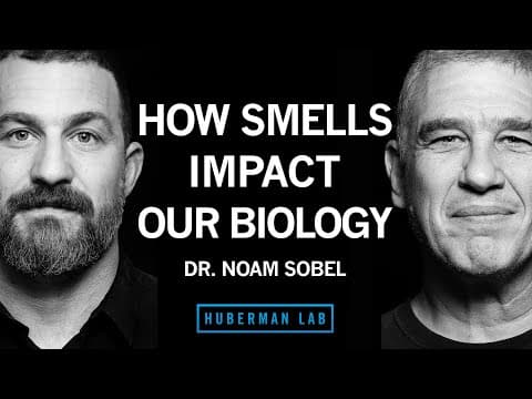 Dr. Noam Sobel: How Smells Influence Our Hormones, Health & Behavior | Huberman Lab Podcast thumbnail
