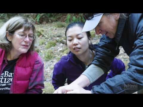 Riverine Food Webs - How Flow Rates Affect Biomass | HHMI BioInteractive Video thumbnail