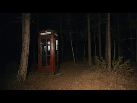 7 Most Disturbing Things Found in the Woods thumbnail