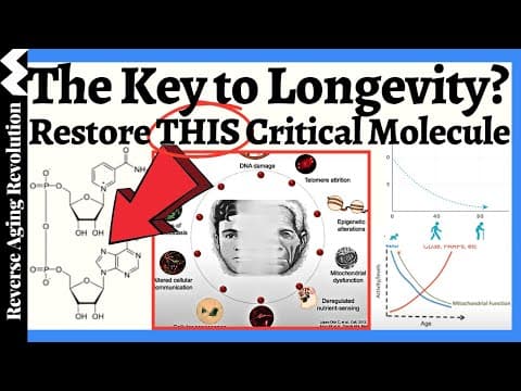 Restoring THIS ONE Thing Could Prevent Alzheimer's & Slow Aging? thumbnail