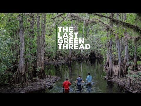 REI Presents: The Last Green Thread thumbnail
