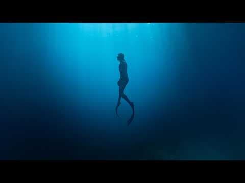 When a Diver Realizes They're Not Alone thumbnail
