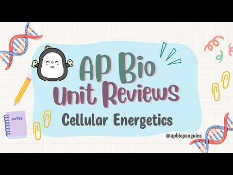 AP Biology Review: Unit 3 Cellular Energetics thumbnail