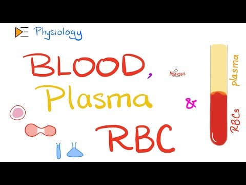 Blood, Plasma, and Red Blood Cells | Physiology of Blood and Immune System | Physiology Playlist thumbnail