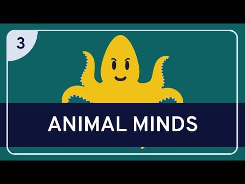 PHILOSOPHY - NEUROSCIENCE AND PHILOSOPHY 3: Animal Minds thumbnail
