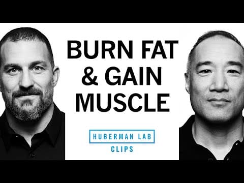 Body Recomposition: How to Burn Fat & Gain Muscle | Alan Aragon & Dr. Andrew Huberman thumbnail