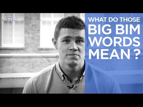 What Do Those Big BIM Words Mean? | The B1M thumbnail