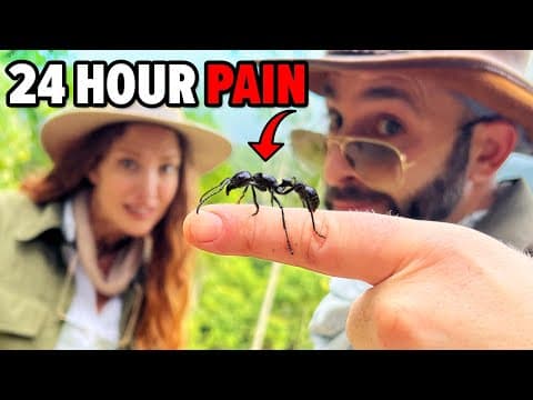 Bullet Ant Challenge - Will It Sting?! thumbnail