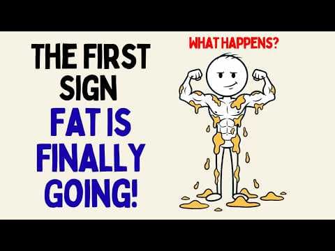 What Happens When Visceral Fat Finally Starts to Break Down? (Science Explained) thumbnail