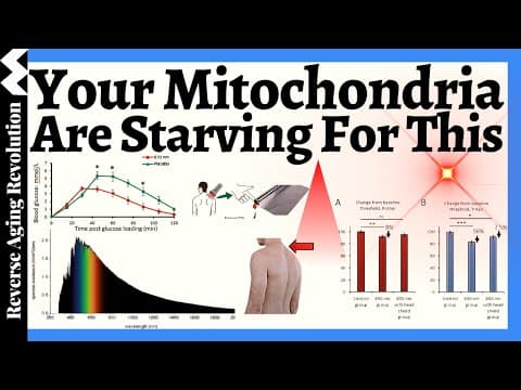 Feed Your Mitochondria or Age Faster! Your Mitochondria Are Starving for THIS! thumbnail