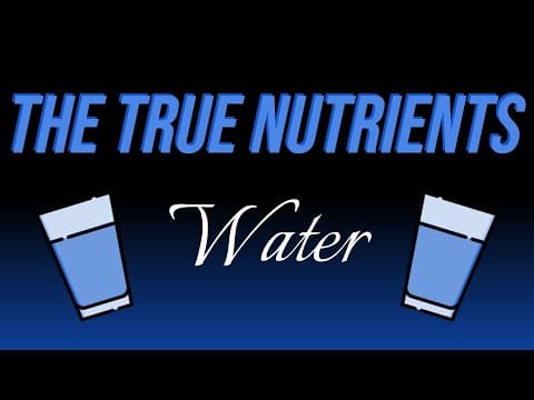 Water - The True Nutrients thumbnail