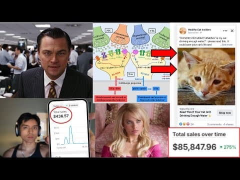 how to start a profitable branded dropshipping business (in 5 simple steps) thumbnail