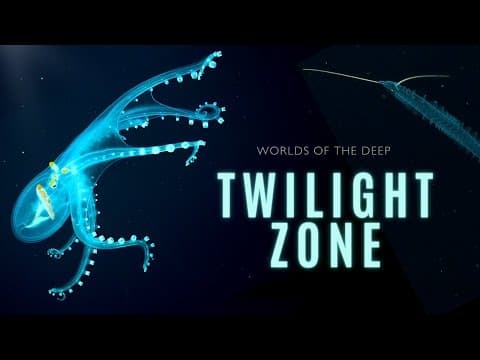 Mysteries of the Twilight Zone | Worlds of the Deep thumbnail