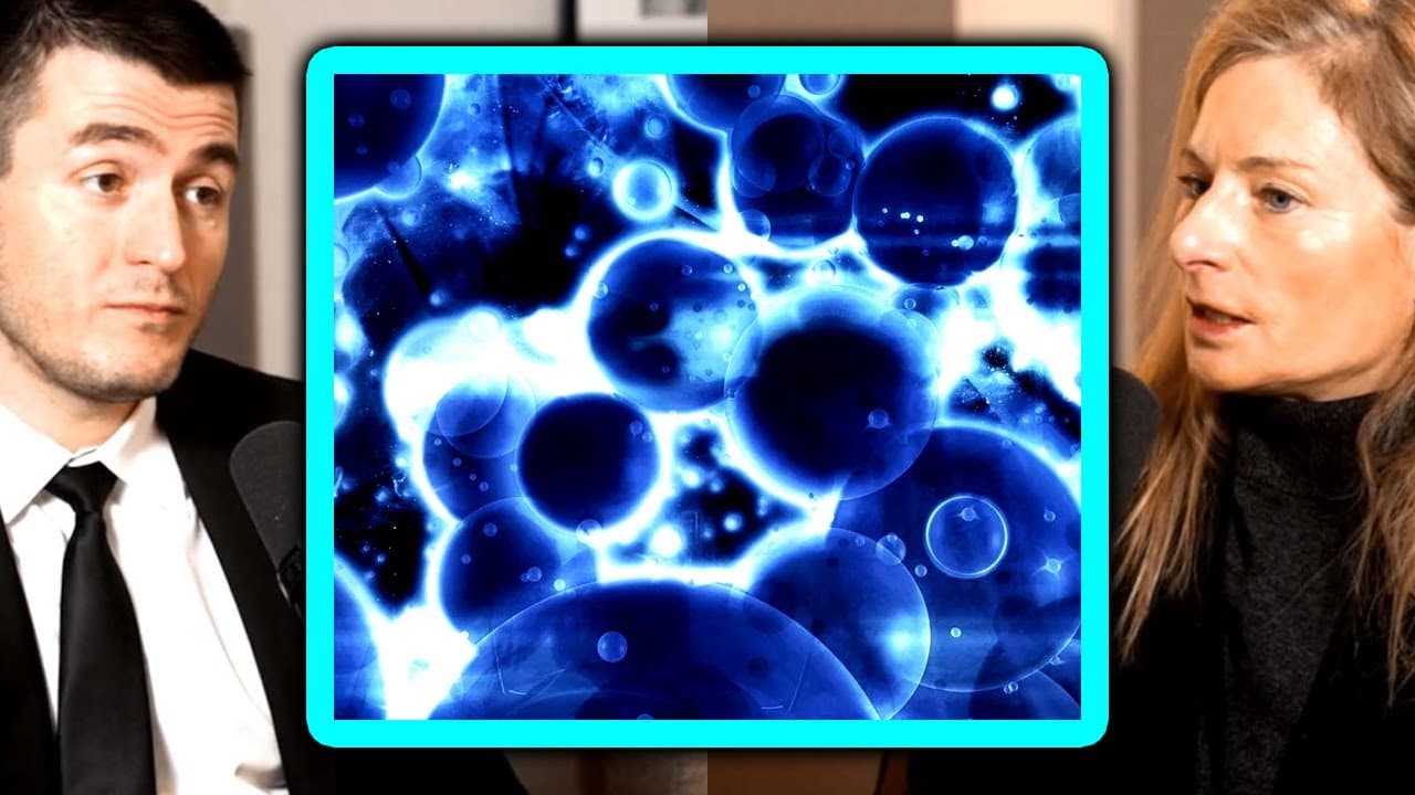 YouTube video player