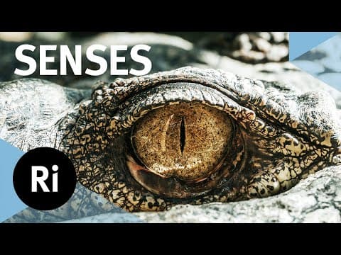 The hidden world of animal senses – with Ed Yong thumbnail