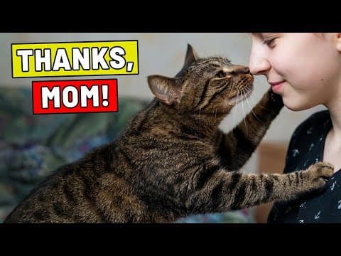 This Is How Cats Thank People They Love thumbnail