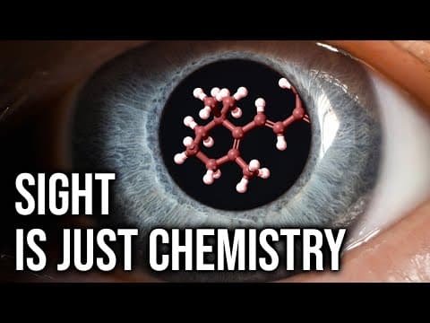 Vision Is Actually A Chemical Reaction thumbnail