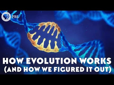 How Evolution Works (And How We Figured It Out) thumbnail