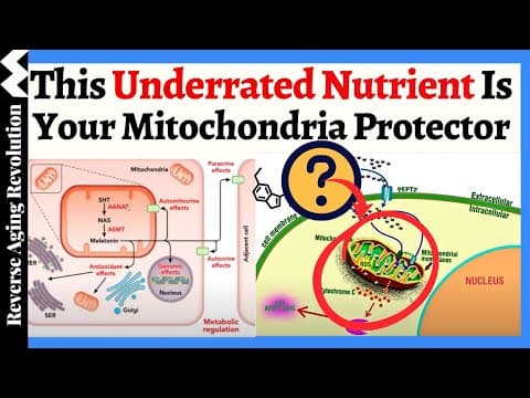 THIS Underrated Nutrient Protects Your Mitochondria — And Vitamin D Can’t Work Without It! thumbnail