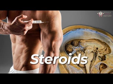 What Steroids Do to the Body thumbnail