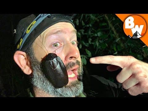 What Is Night Herping and What Creatures Can You Find? thumbnail