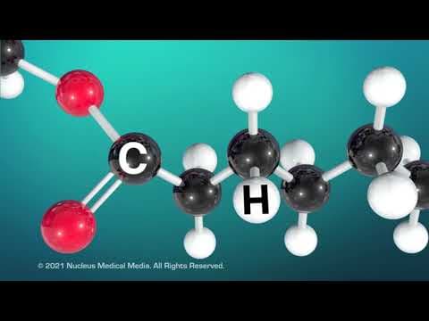 Lipids thumbnail